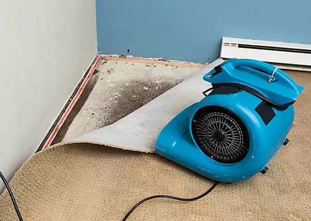 Your Water Damage Experts in Winston, GA
