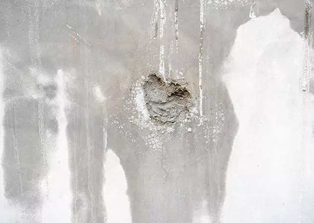 Your Mold Mitigation Solutions Partner in Winston, GA