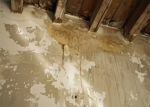 Your Trusted Restoration Company in Winston, GA