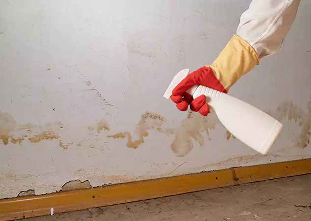 Your Water Restoration and Mold Remediation Specialists in Winston, GA