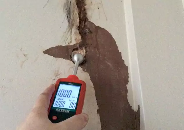 Your Water Damage Assessment Partner in Winston, GA