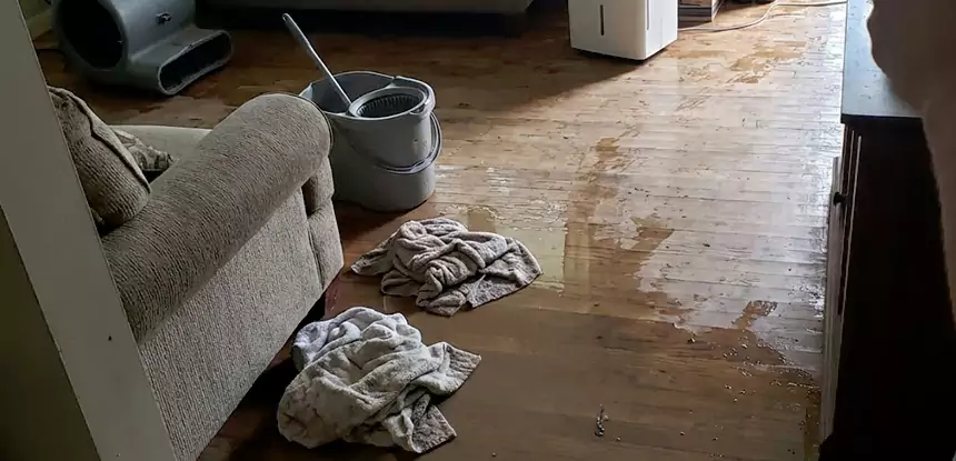 Professional Basement Water Remediation Services in Winston, GA