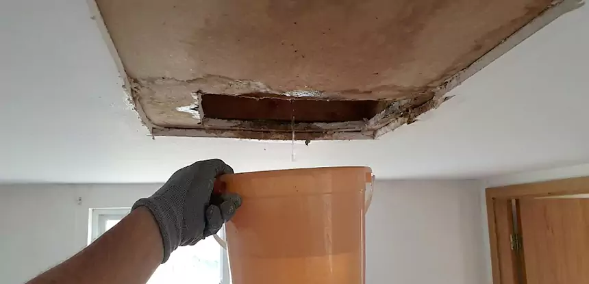 Ceiling Mold Repair Winston