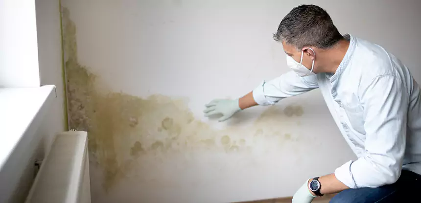 Mold and Water Damage Repair in Winston