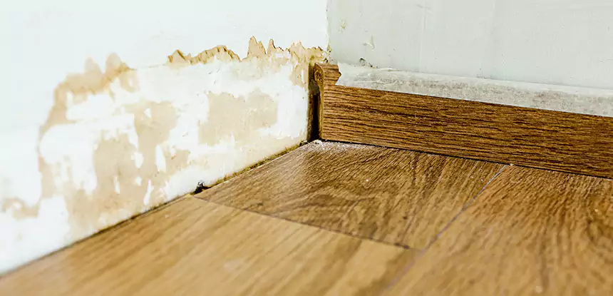 Professional Fix Water Damaged Wood Services in Winston, GA