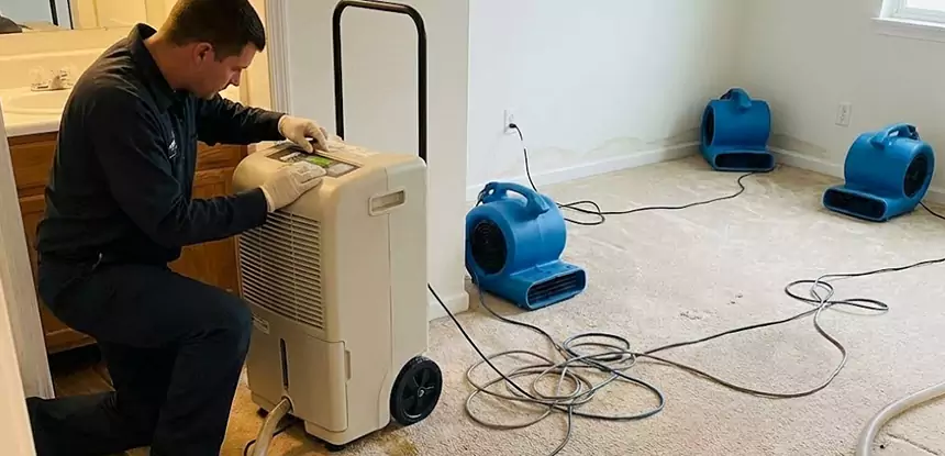 Professional Wet Carpet Removal Services in Winston, GA