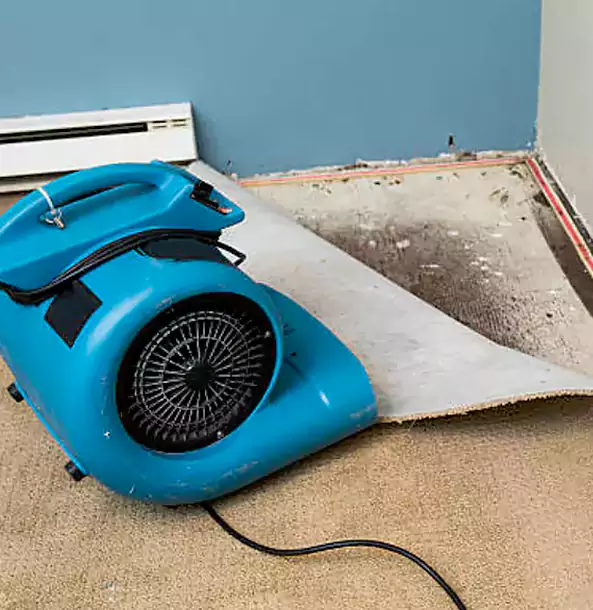 Why Winston Trusts Winston Restoration Pro for Carpet Flood Recovery?