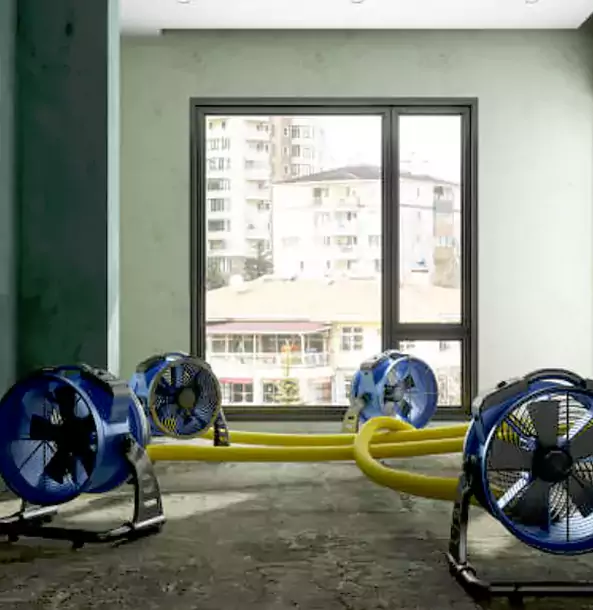 Why Winston Property Owners Trust Winston Restoration Pro for Water Damage Drying?
