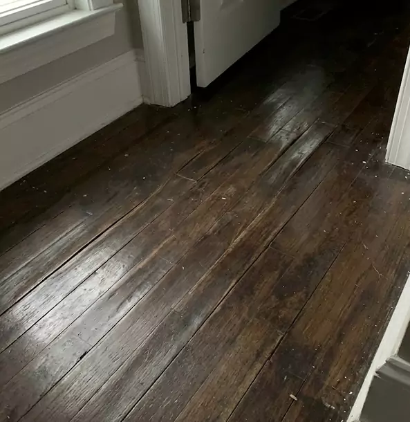 Why Winston Homeowners Trust Winston Restoration Pro to Fix Water Damaged Wood?