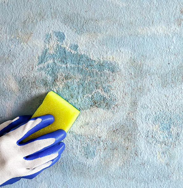 Why Winston Restoration Pro Is the Right Choice in Winston, GA?