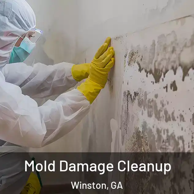  Mold Damage Cleanup Winston, GA