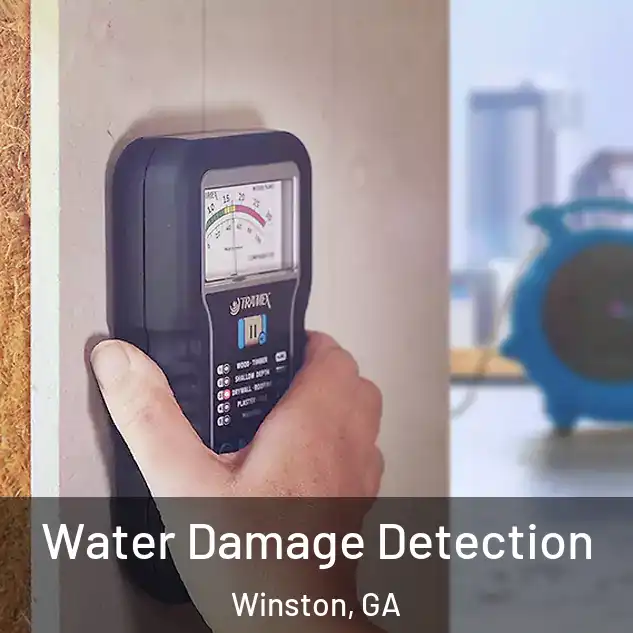  Water Damage Detection Winston, GA