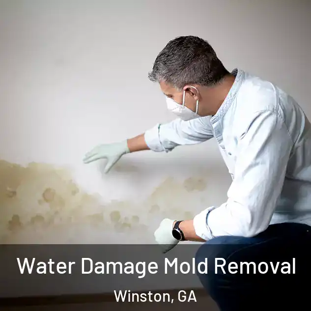  Water Damage Mold Removal Winston, GA